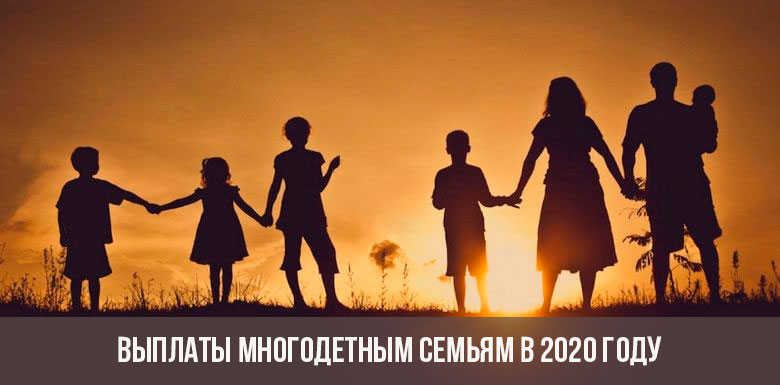 Assistance to large families in 2020