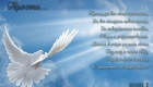 Forgiveness Sunday 2020 - Carte de voeux avec une colombe de la paix avec des vers