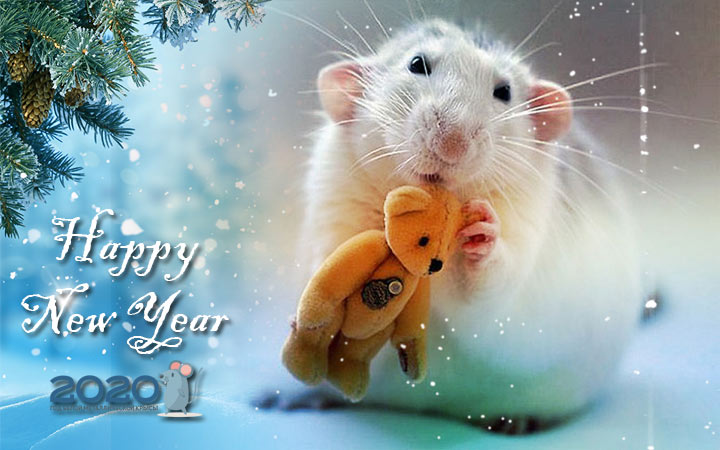 Uuden vuoden kuvat hiirillä, rotilla ja muilla sankareilla vuodelle 2020