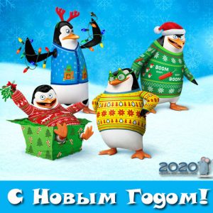 Pingwiny noworoczne - zdjęcie do 2020 roku