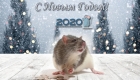 2020 metų simbolis - žiurkė