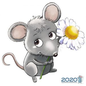 Žiurkė su ramunėle - nuotrauka 2020 metams