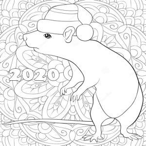 Rat - coloring book for 2020