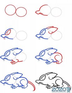Hogyan lehet rajzolni egy patkányt egy rajzfilmből - utasítások