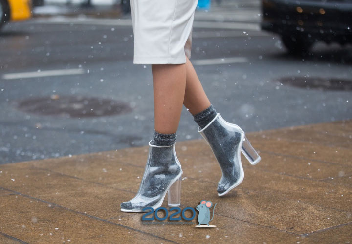Διαφανείς μπότες αστραγάλου πτώση-χειμώνα 2019-2020