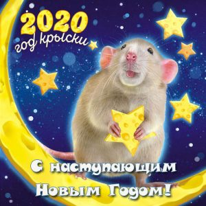New Year mini-card with mouse for 2020