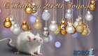 Nový rok 2020 - Rok krysy