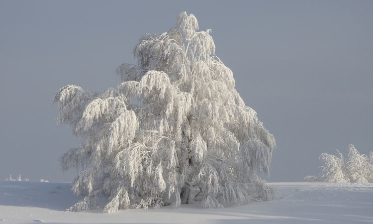 Previsió hivernal a llarg termini per a Bashkiria per al 2020