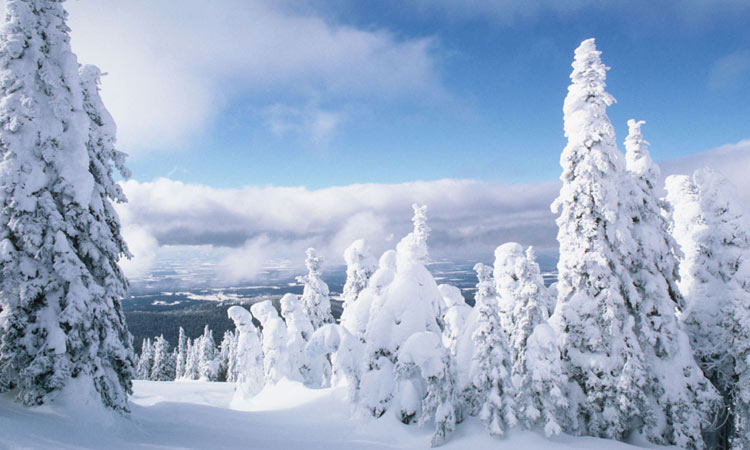 Bashkiria için kış 2019-2020 için hava tahmini