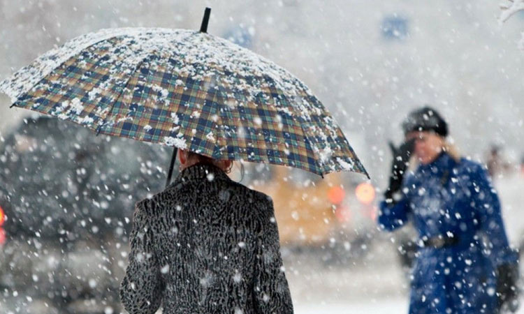Mùa đông 2019-2020 trong dự báo thời tiết Stavropol