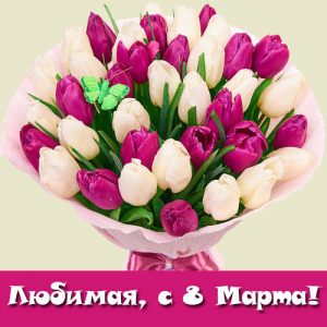 Grußkarte mit 8. März mit Tulpen für Ihre Geliebte