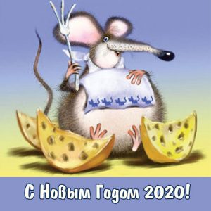 Uusi vuosi -kortti 2020 rotalla ja juustolla