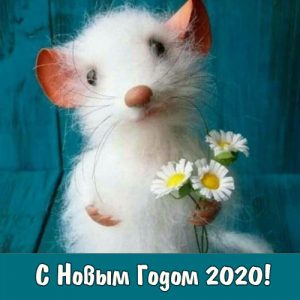 Șobolan alb - simbol al anului 2020