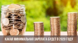 Le salaire minimum en Russie en 2020